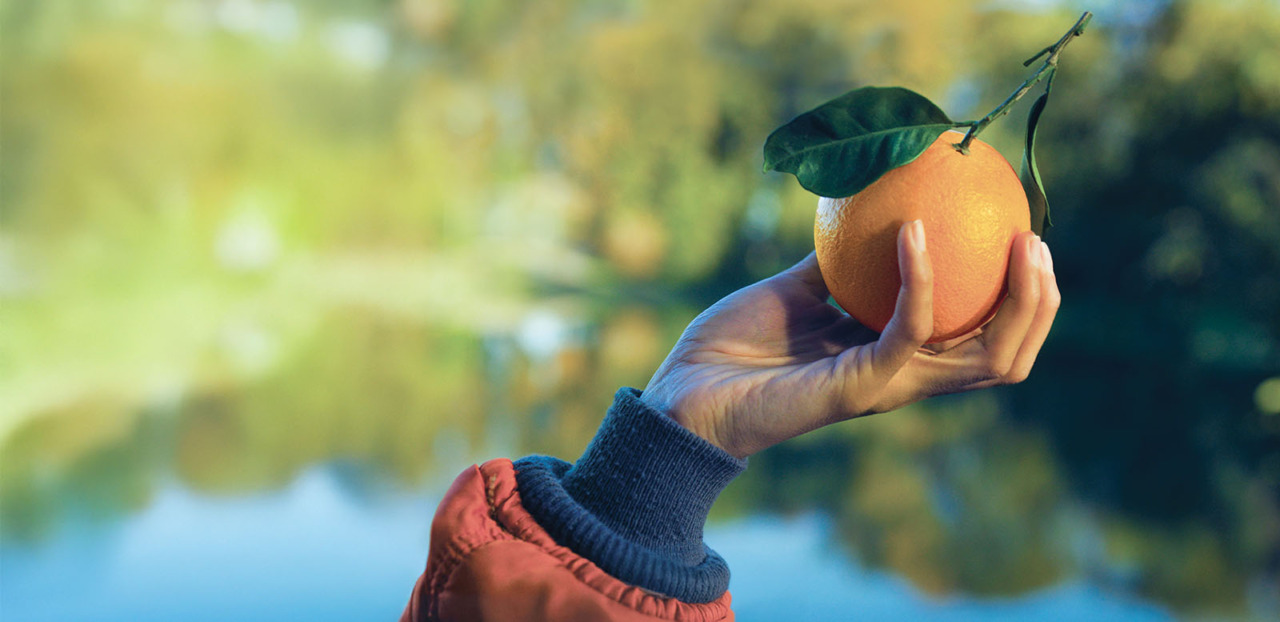 Aumentano i casi di tumore, ma anche le guarigioni. Domani le arance dell’Airc nelle piazze