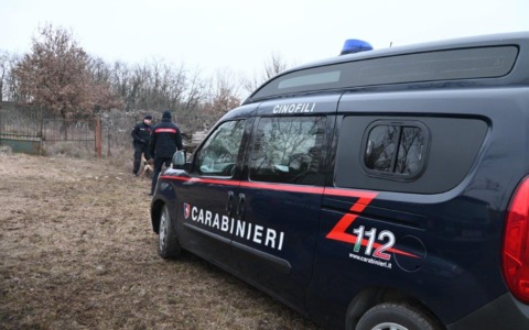 Operazione antidroga dei Carabinieri nei boschi novesi: individuato pusher
