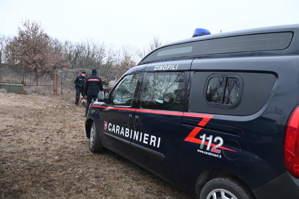 Operazione antidroga dei Carabinieri nei boschi novesi: individuato pusher