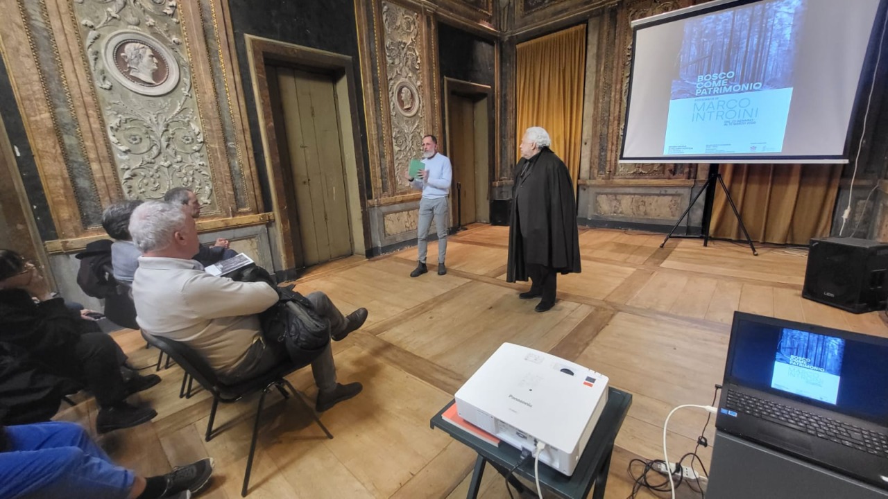 Bosco come patrimonio: le fotografie di Marco Introini in mostra ad Alessandria