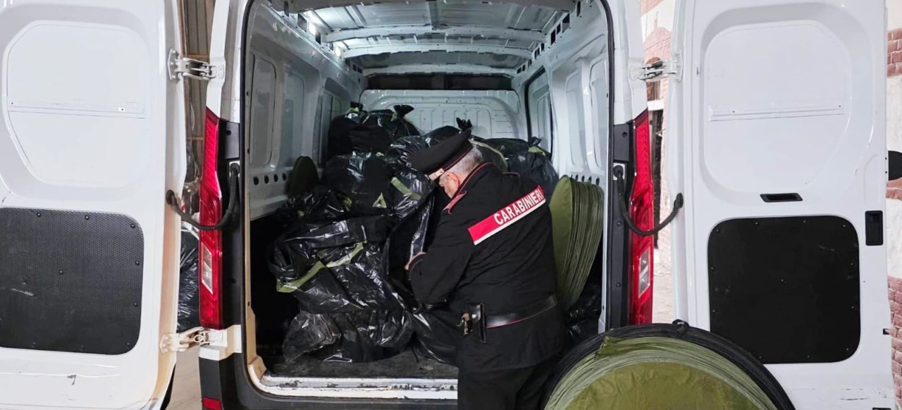 Sequestrati oltre 400 chili di marijuana in una cascina di Balzola: tre arresti