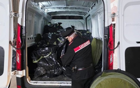 Sequestrati oltre 400 chili di marijuana in una cascina di Balzola: tre arresti