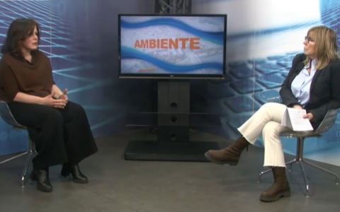 Alessandria e il territorio: informazione, identità e lavoro di rete