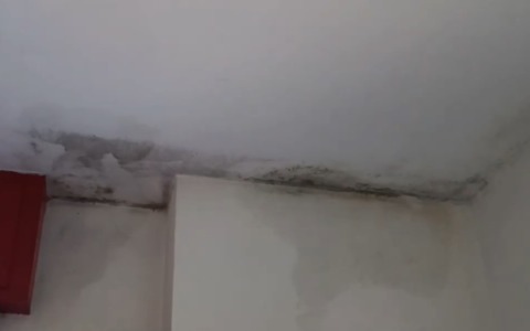 Nichelino: muffe e perdite d’acqua in un alloggio Atc