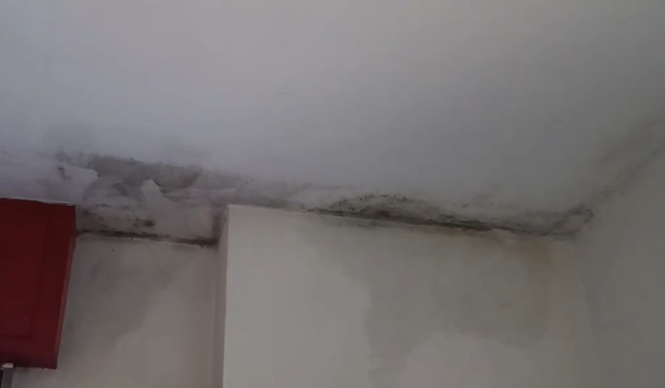 Nichelino: muffe e perdite d’acqua in un alloggio Atc