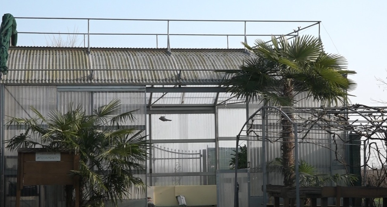 Beni confiscati alle mafie: tanti visitatori a Cascina Saetta per festeggiare i 30 anni della legge 109