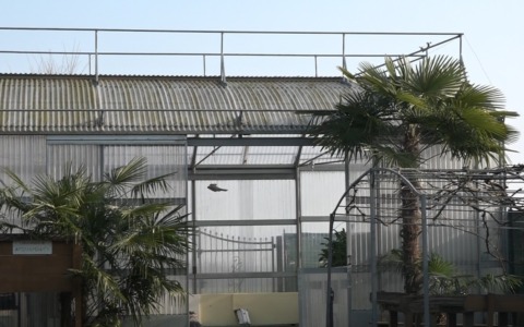 Beni confiscati alle mafie: tanti visitatori a Cascina Saetta per festeggiare i 30 anni della legge 109