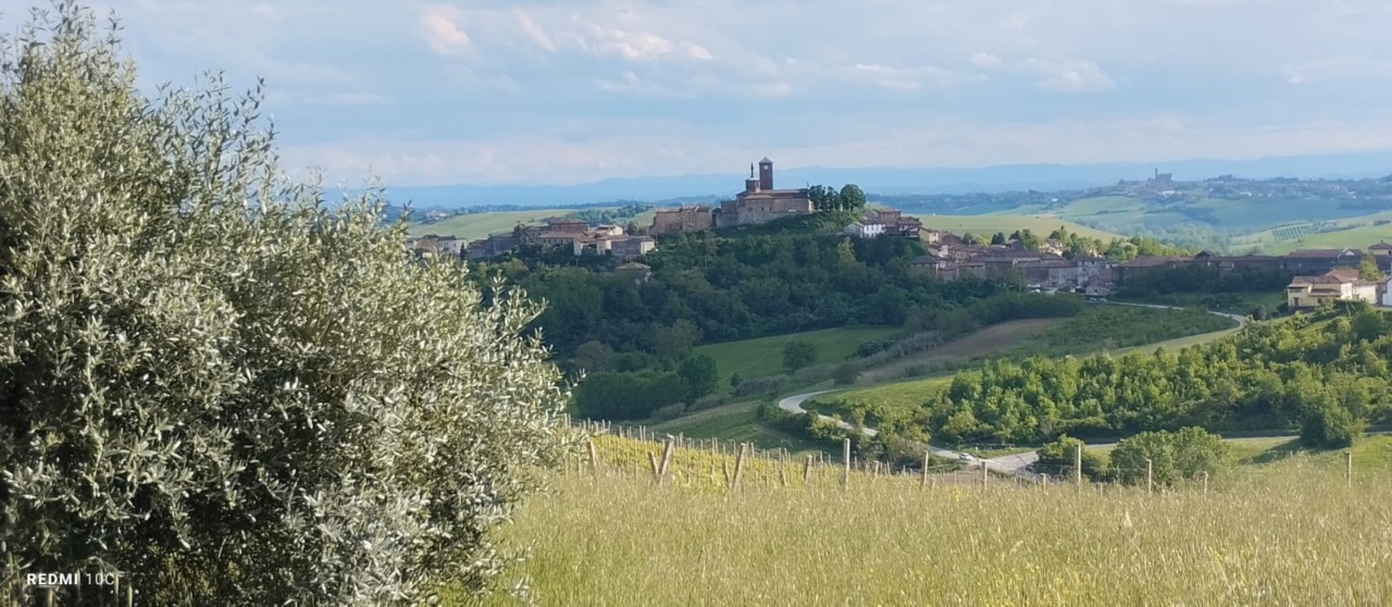 Al via la terza edizione del concorso “Riflessi dal Monferrato”