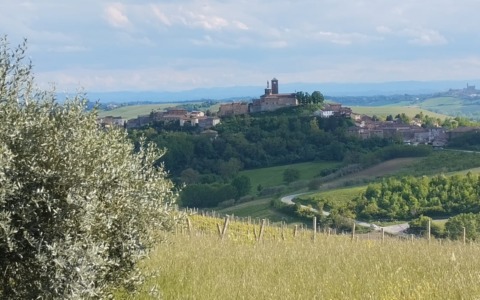 Al via la terza edizione del concorso “Riflessi dal Monferrato”