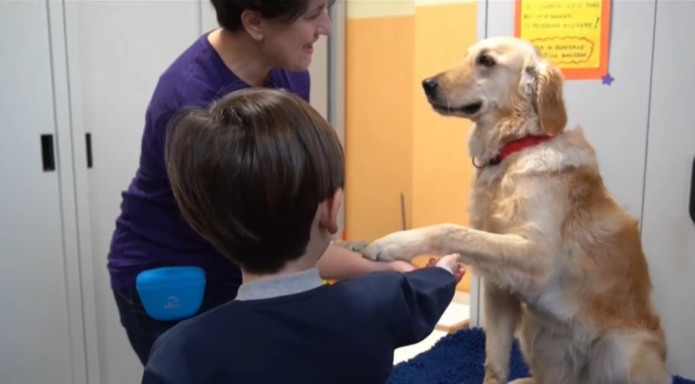 All’ospedale Maggiore di Novara, parte la pet therapy per i bambini
