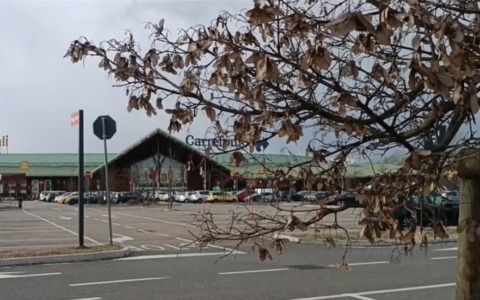 Nichelino, tenta la truffa della falsa raccolta fondi. Fermata una donna