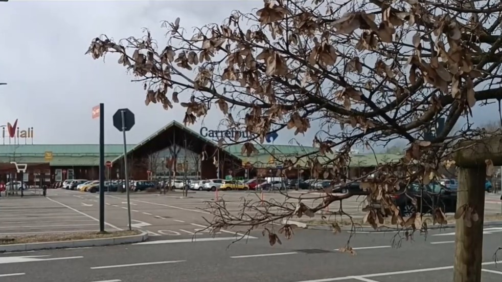 Nichelino, tenta la truffa della falsa raccolta fondi. Fermata una donna