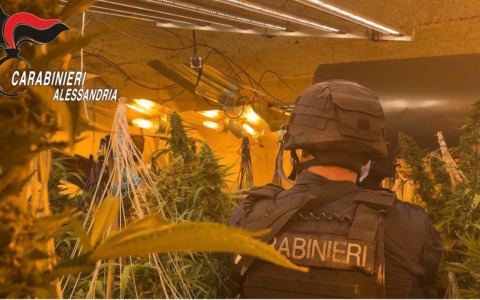 Maxi coltivazione di marijuana in un casolare nell’Acquese: un arresto e 135 chili di droga sequestrati