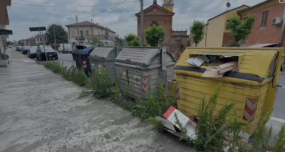 Erba alta e bidoni pieni di rifiuti: la situazione in via Genova a Spinetta Marengo