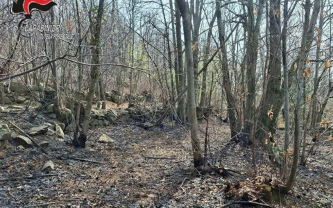 Individuato il presunto responsabile di un incendio boschivo nel Torinese