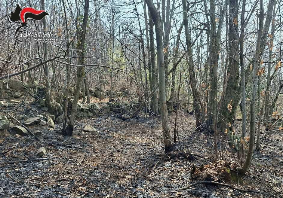 Individuato il presunto responsabile di un incendio boschivo nel Torinese