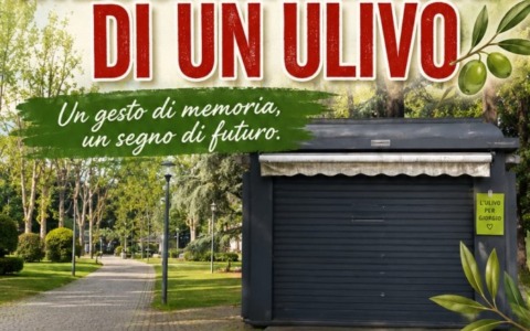 Alessandria: un ulivo in memoria di Giorgio Bogianchino, storico edicolante di piazza Garibaldi