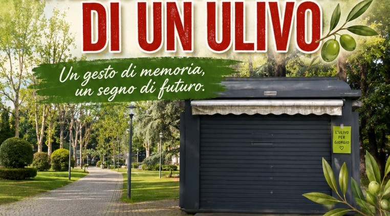 Alessandria: un ulivo in memoria di Giorgio Bogianchino, storico edicolante di piazza Garibaldi
