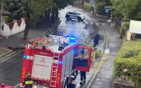 Maltempo in provincia di Alessandria con grandine e fulmini. Allagamenti e alberi caduti nel Novese e Acquese