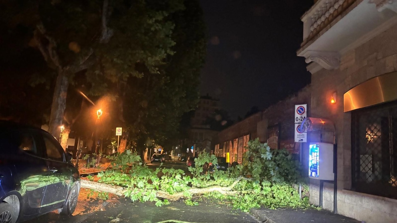 Maltempo: nubifragi e alberi caduti nel Torinese e nel Novese. Resta l’afa