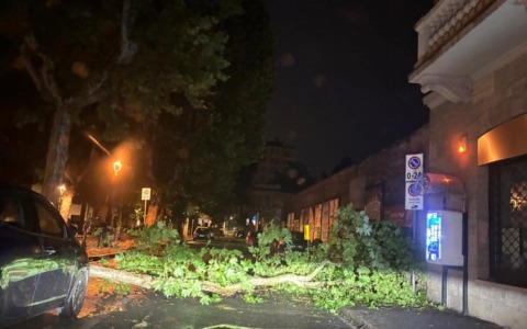 Maltempo: nubifragi e alberi caduti nel Torinese e nel Novese. Resta l’afa