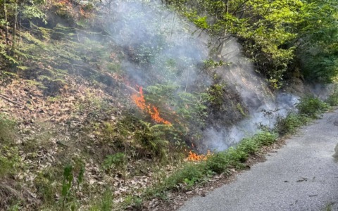 Incendio boschivo tra Belforte Monferrato e Gnocchetto