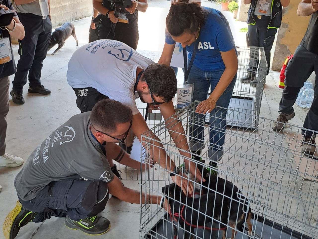 Prosegue l’esercitazione nazionale della Protezione civile lungo il bacino del Po