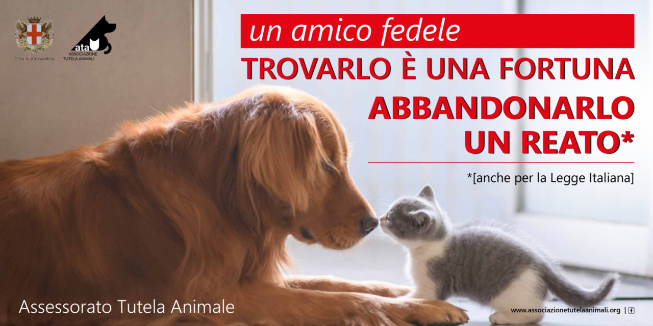 Ad Alessandria la campagna informativa contro l’abbandono degli animali