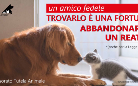 Ad Alessandria la campagna informativa contro l’abbandono degli animali