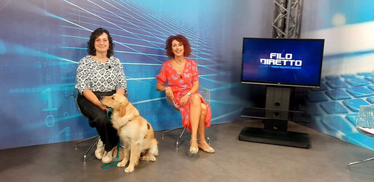 Alessandria rafforza il welfare animale: nuove campagne e servizi per cani e gatti