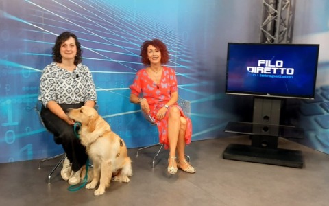 Alessandria rafforza il welfare animale: nuove campagne e servizi per cani e gatti