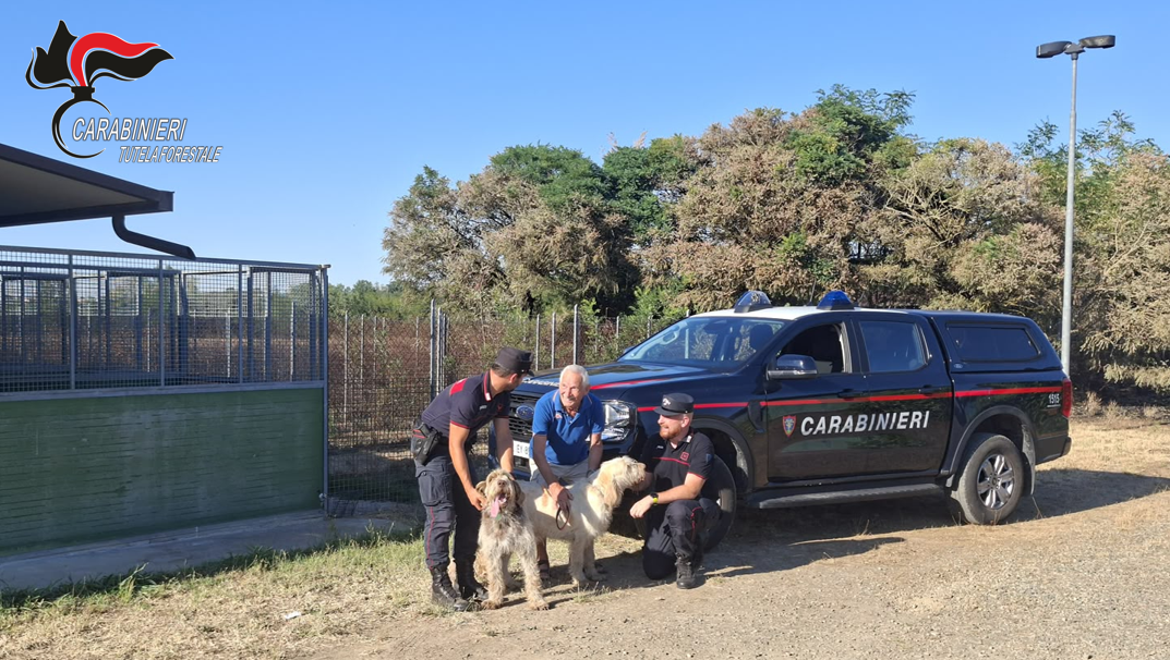 Incendio in un canile a Sezzadio: i Carabinieri Forestali mettono in salvo 20 cani