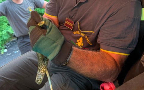 Anche un serpente a prendere il sole in spiaggia a Voltri