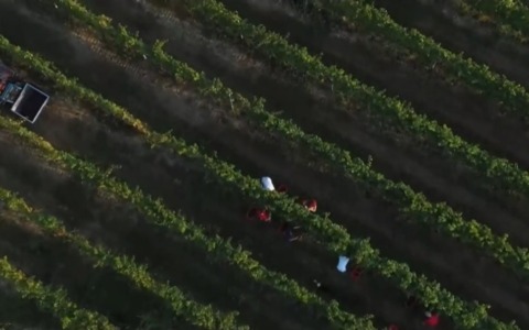Un turismo sostenibile e di qualità lungo la Strada Reale dei Vini Torinesi