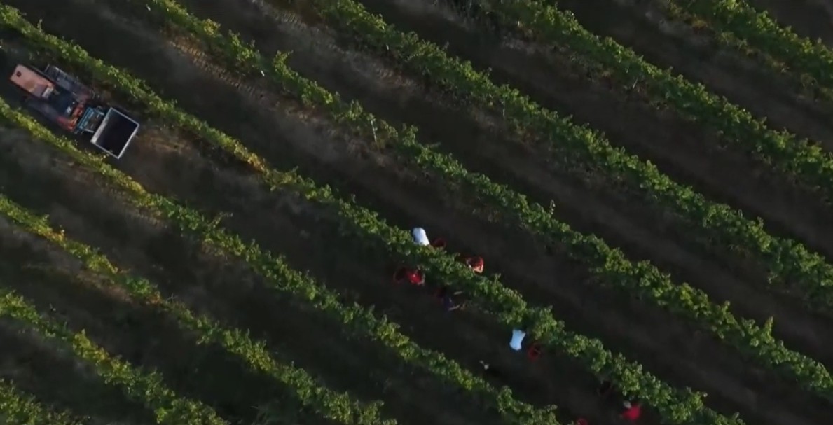 Un turismo sostenibile e di qualità lungo la Strada Reale dei Vini Torinesi