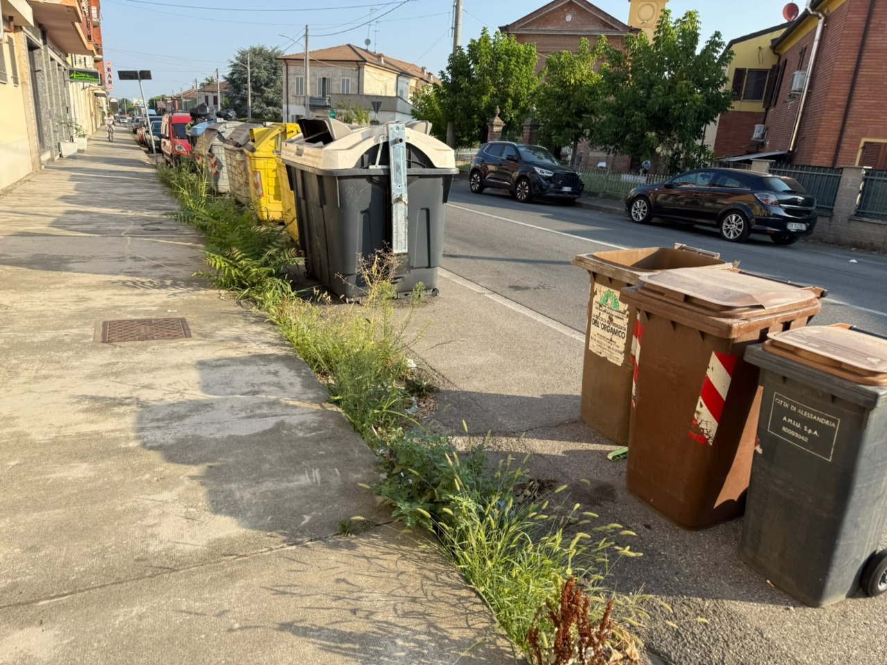 Rifiuti e incuria del verde a Spinetta. Da giugno oltre 30 le sanzioni per abbandono rifiuti ad Alessandria
