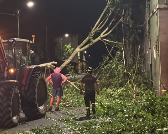 Maltempo: a Bosco Marengo alberi sradicati, tetti scoperchiati e danni ad una cabina elettrica