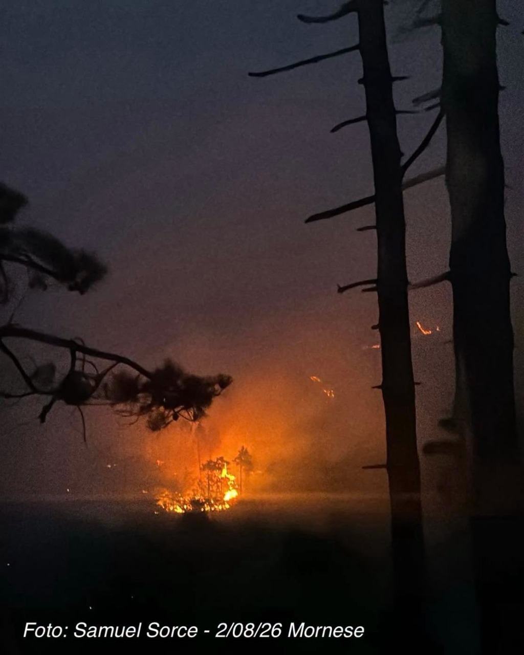 Incendio nella pineta di Mornese, fiamme sotto controllo dopo una notte di lavoro