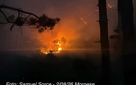 Incendio nella pineta di Mornese, fiamme sotto controllo dopo una notte di lavoro