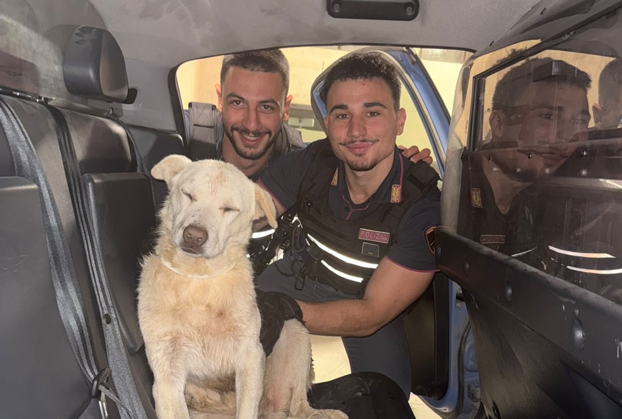 Wisky, cane pastore in difficoltà salvato dalla Polizia di Bardonecchia