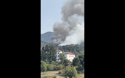 Incendio nei boschi di Mornese: Vigili del Fuoco impegnati per contenere le fiamme