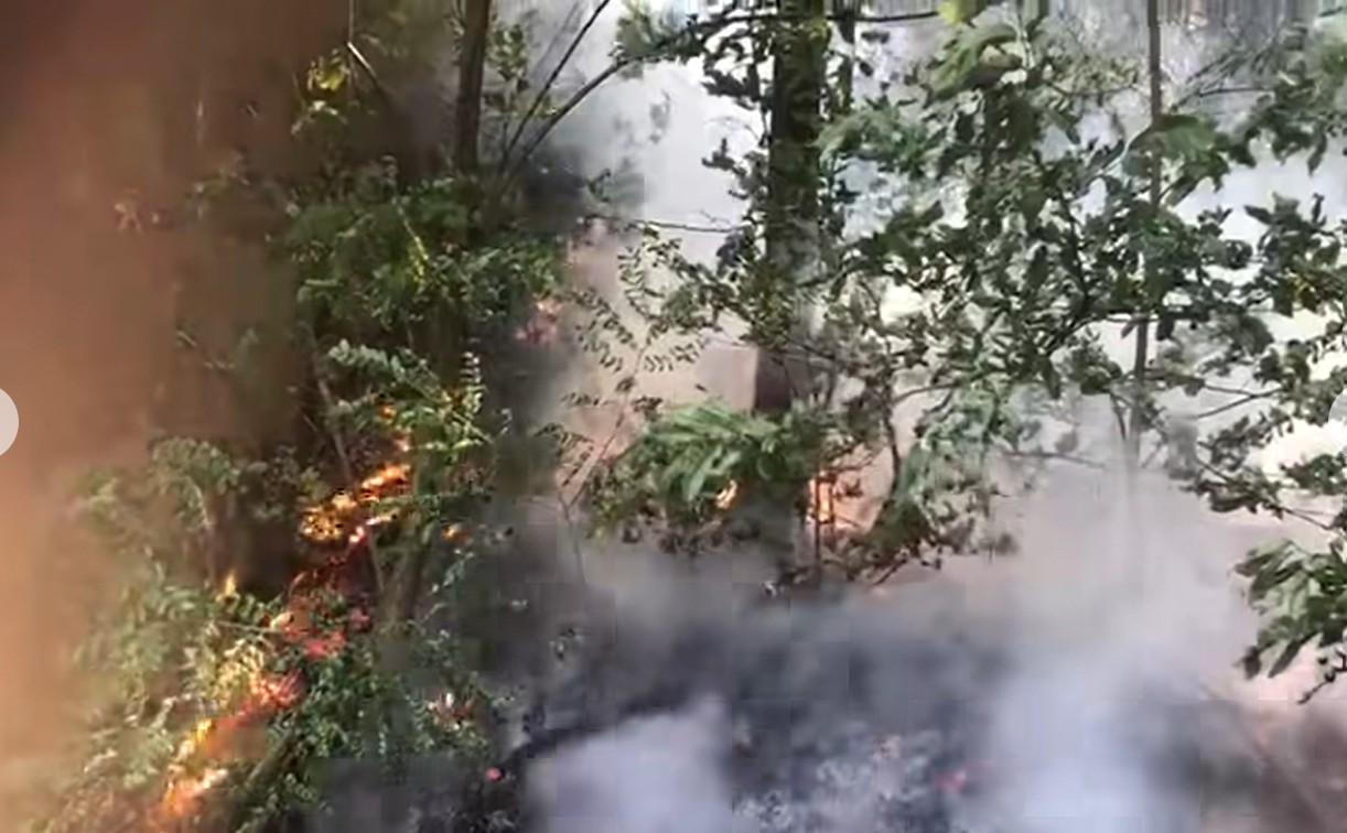 Incendio Boschivo in località Criste a Belforte Monferrato: sul posto i Vigili del Fuoco
