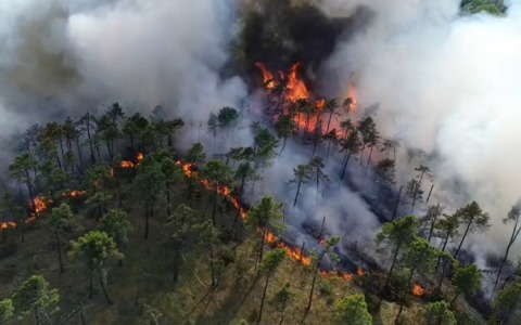 Domato l’incendio di Mornese: Vigili del Fuoco ancora a lavoro per la bonifica dell’area